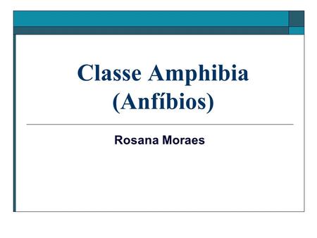 Classe Amphibia (Anfíbios)