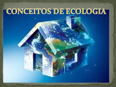 CONCEITOS DE ECOLOGIA.