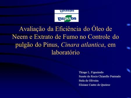 Avaliação da Eficiência do Óleo de Neem e Extrato de Fumo no Controle do pulgão do Pinus, Cinara atlantica, em laboratório Thiago L. Figueiredo Susete.