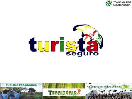 O Programa Turista Seguro tem por objetivo proteger empresas de turismo e entidades de ensino que desenvolvem e incentivam o turismo pedagógico, oferecendo.