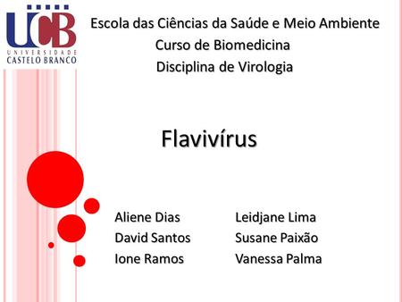 Flavivírus Escola das Ciências da Saúde e Meio Ambiente