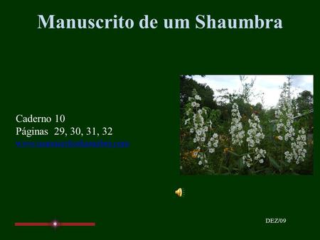 Manuscrito de um Shaumbra Caderno 10 Páginas 29, 30, 31, 32 www.manuscritoshaumbra.com DEZ/09.