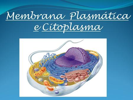 Membrana Plasmática e Citoplasma
