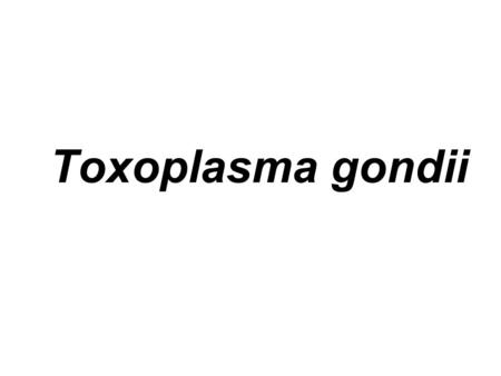 Toxoplasma gondii.