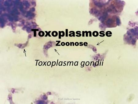 Toxoplasmose Zoonose Toxoplasma gondii Prof: Ueliton Santos.