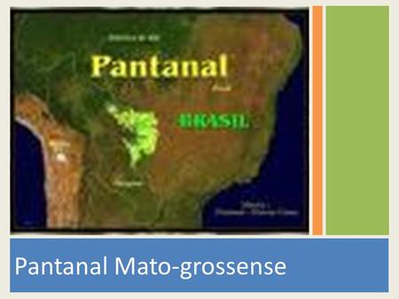 Pantanal Mato-grossense