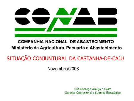 Ministério da Agricultura, Pecuária e Abastecimento SITUAÇÃO CONJUNTURAL DA CASTANHA-DE-CAJU Novembro/2003 Luís Gonzaga Araújo e Costa Gerente Operacional.