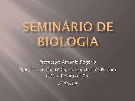 Seminário de Biologia Professor: Antônio Rogério
