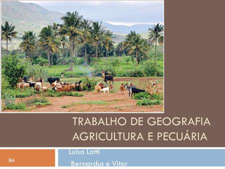 Trabalho de geografia Agricultura e pecuária