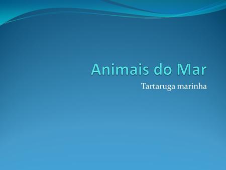 Animais do Mar Tartaruga marinha.