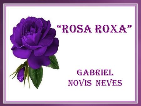 “Rosa roxa” Gabriel Novis Neves.
