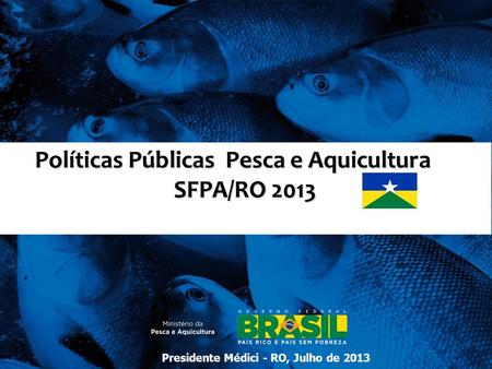 Políticas Públicas Pesca e Aquicultura SFPA/RO 2013
