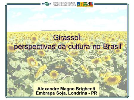 Girassol: perspectivas da cultura no Brasil