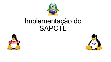 Implementação do SAPCTL
