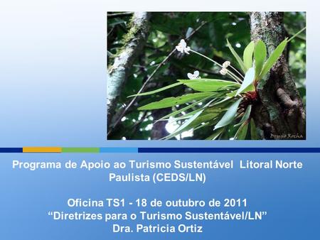Programa de Apoio ao Turismo Sustentável Litoral Norte Paulista (CEDS/LN) Oficina TS1 - 18 de outubro de 2011 “Diretrizes para o Turismo Sustentável/LN”