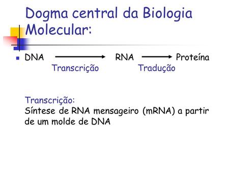Dogma central da Biologia Molecular: