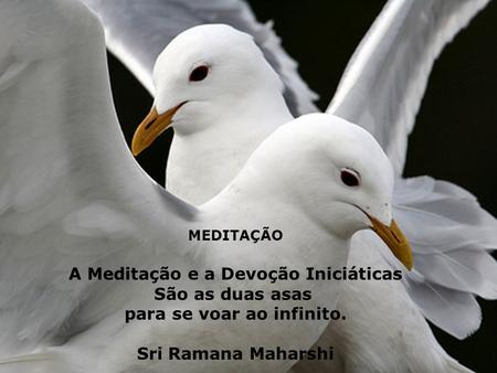 MEDITAÇÃO A Meditação e a Devoção Iniciáticas São as duas asas para se voar ao infinito. Sri Ramana Maharshi.
