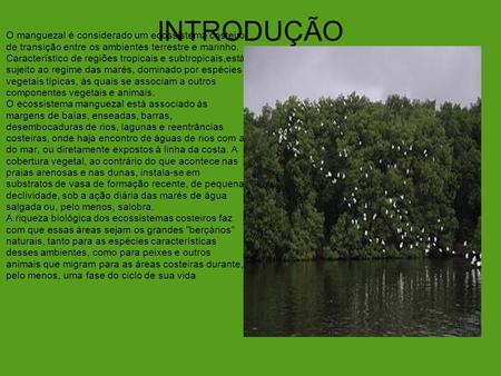 O manguezal é considerado um ecossistema costeiro de transição entre os ambientes terrestre e marinho. Característico de regiões tropicais e subtropicais,está.