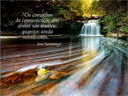 “Os caminhos da comunicação das almas são muitos, quantos ainda misteriosos.” José Saramago.