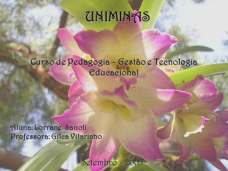 UNIMINAS Curso de Pedagogia – Gestão e Tecnologia Educacional Aluna: Lorrane Sanoli Professora: Gilca Vilarinho Setembro - 2005.