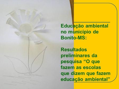 Educação ambiental no município de Bonito-MS: