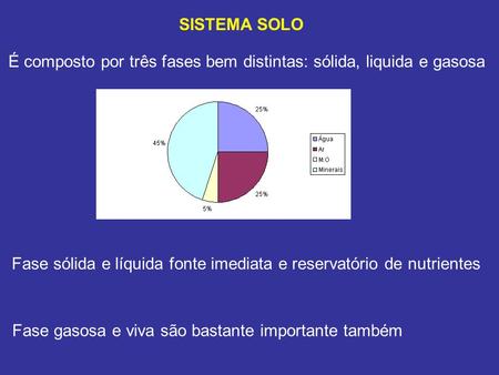 SISTEMA SOLO É composto por três fases bem distintas: sólida, liquida e gasosa Fase sólida e líquida fonte imediata e reservatório de nutrientes Fase gasosa.