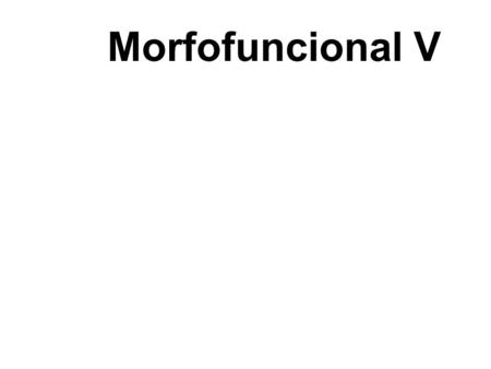 Morfofuncional V.
