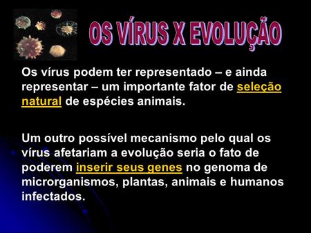 OS VÍRUS X EVOLUÇÃO Os vírus podem ter representado – e ainda representar – um importante fator de seleção natural de espécies animais. Um outro possível.