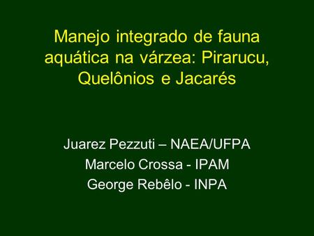 Juarez Pezzuti – NAEA/UFPA Marcelo Crossa - IPAM George Rebêlo - INPA