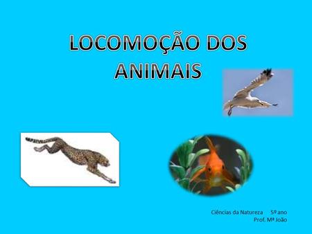 LOCOMOÇÃO DOS ANIMAIS Ciências da Natureza 5º ano Prof. Mª João.