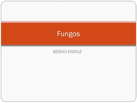Fungos REINO FUNGI.