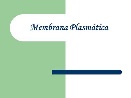 Membrana Plasmática.