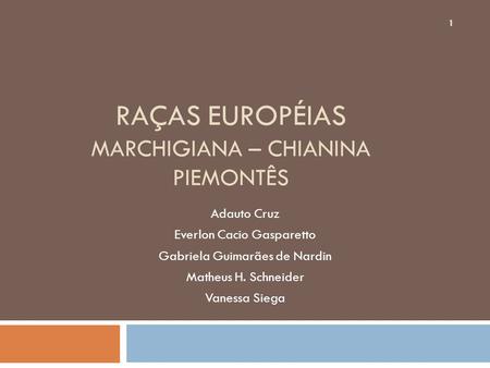 RAÇAS EUROPÉIAS Marchigiana – Chianina Piemontês