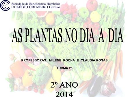 PROFESSORAS: MILENE ROCHA E CLAUDIA ROSAS