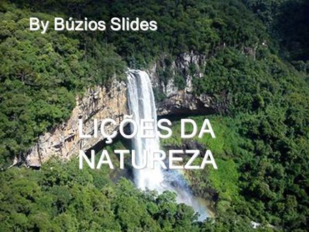 By Búzios Slides LIÇÕES DA NATUREZA.
