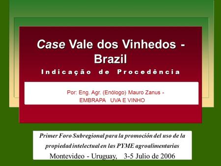 Case Vale dos Vinhedos - Brazil