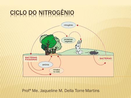 Profª Me. Jaqueline M. Della Torre Martins