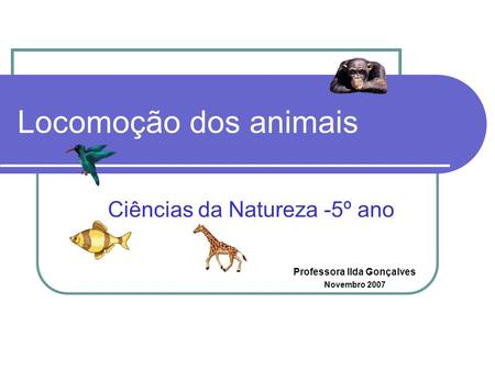 Ciências da Natureza -5º ano Professora Ilda Gonçalves Novembro 2007