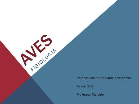 Aves Fisiologia Nomes: Alex,Bruno,Camille,Veronnike Turma: 202