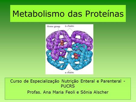 Metabolismo das Proteínas