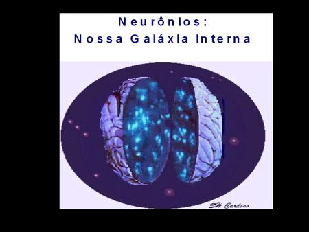 Corpo celular 4 . Axonio 2 . Membrana Neural 5 . Terminal pré-sináptico Dendritos.