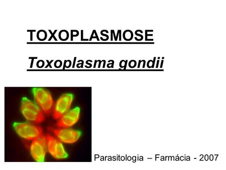 TOXOPLASMOSE Toxoplasma gondii Parasitologia – Farmácia - 2007.