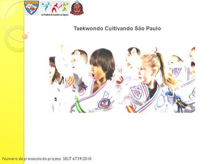 Número de protocolo do projeto SELT 6739/2010 Taekwondo Cultivando São Paulo.