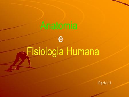 Anatomia e Fisiologia Humana Parte II.