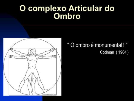 O complexo Articular do Ombro