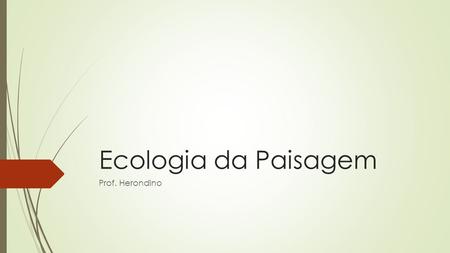 Ecologia da Paisagem Prof. Herondino. Modelagem da ecologia da paisagem  Forma da Macha: