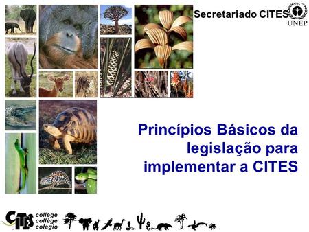 1 Princípios Básicos da legislação para implementar a CITES Secretariado CITES.