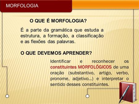 MORFOLOGIA O QUE É MORFOLOGIA?