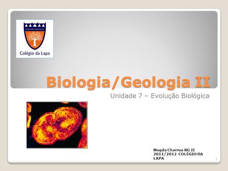 Biologia/Geologia II Unidade 7 – Evolução Biológica Magda Charrua BG II 2011/2012 COLÉGIO DA LAPA 1.
