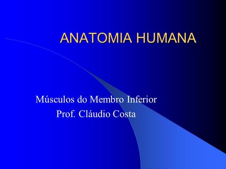 Músculos do Membro Inferior Prof. Cláudio Costa